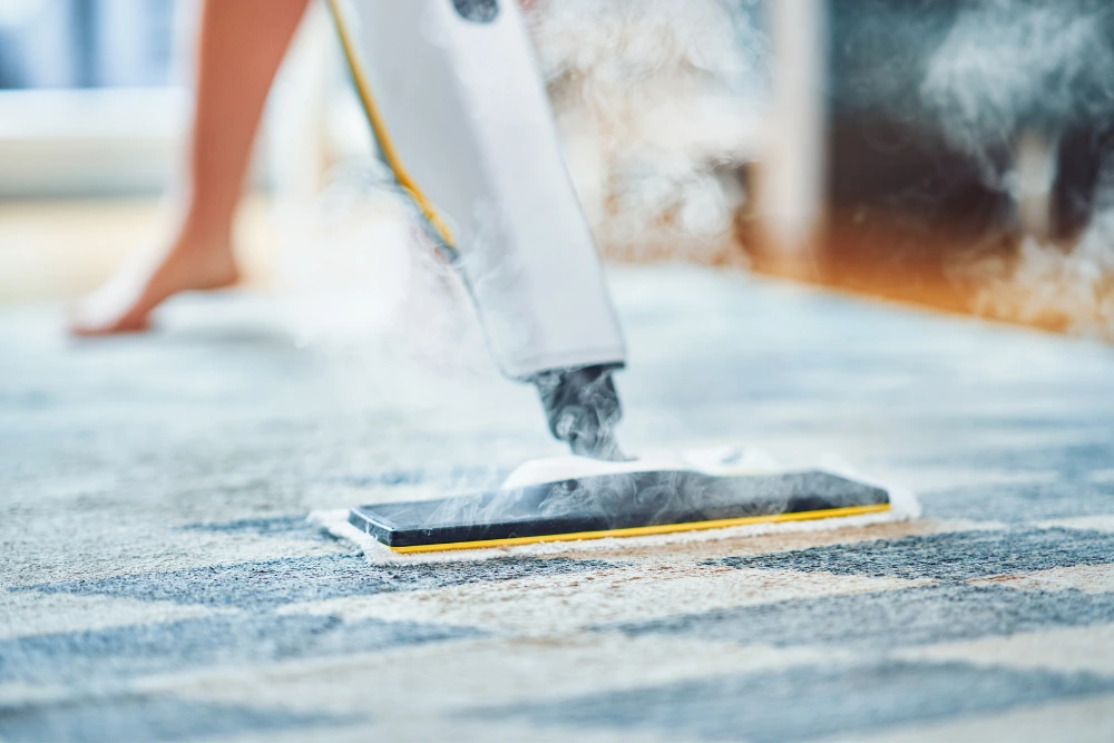 Carpet Steam Cleaner