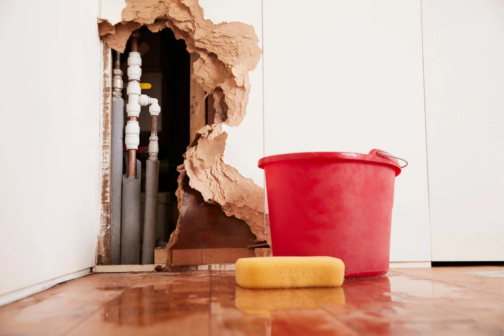 Water - damage - services