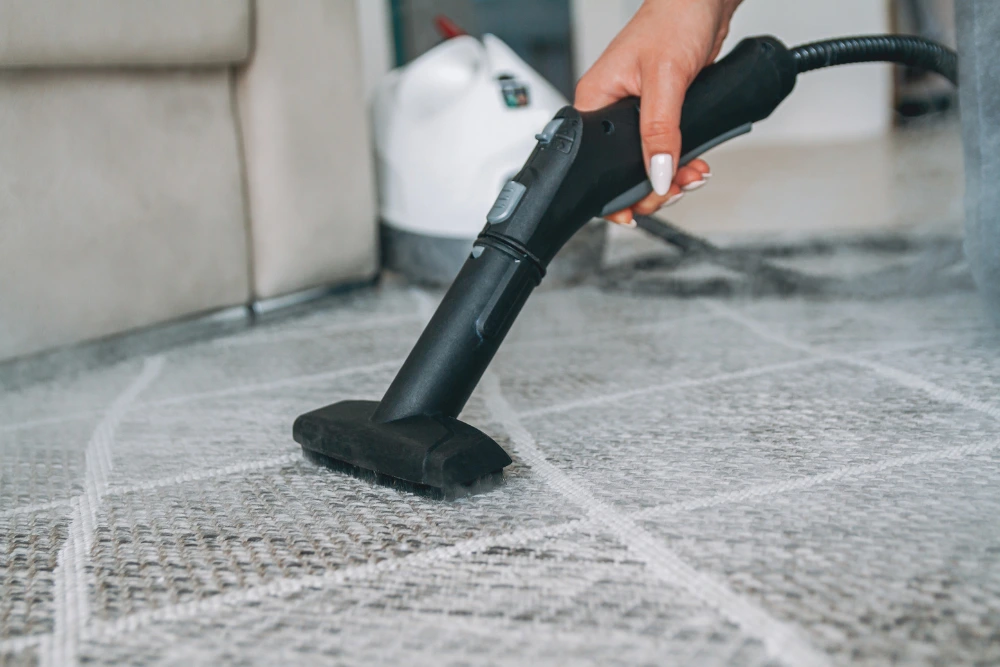 Carpet Steam Cleaner