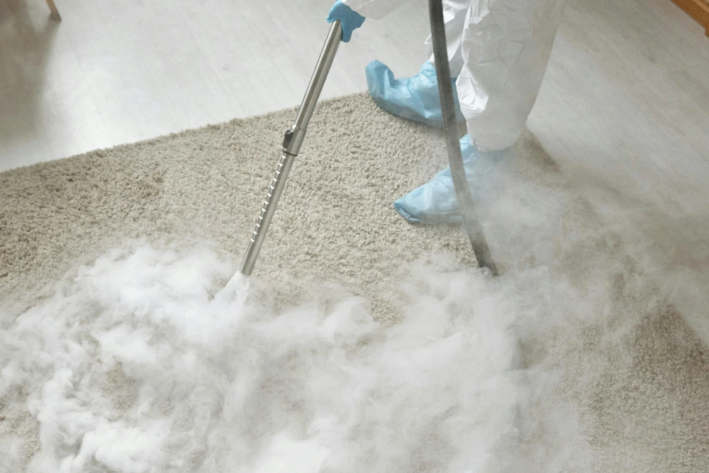 Carpet Cleaning
