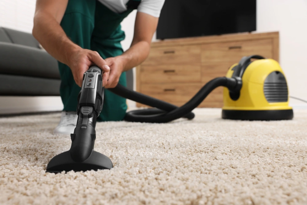 Carpet Steam Cleaner